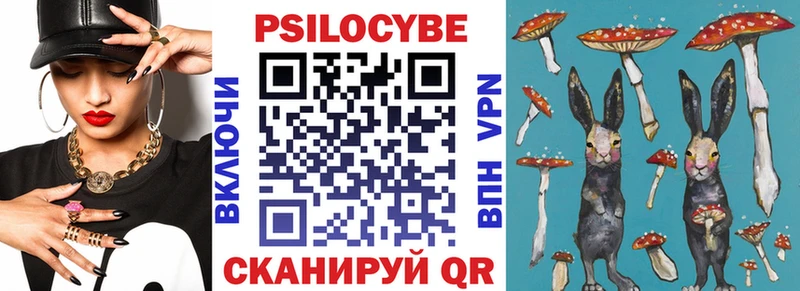Галлюциногенные грибы GOLDEN TEACHER Купить где Терек